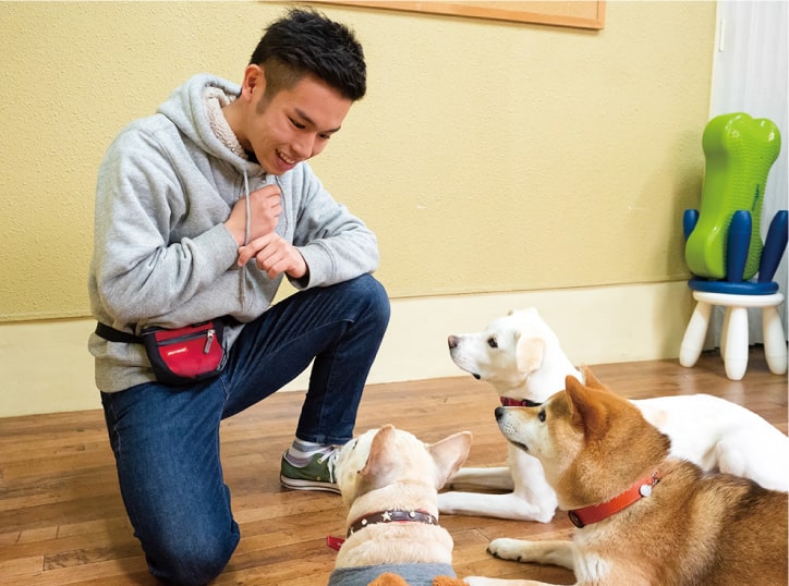 犬たちをおすわりさせるドッグトレーナー科の学生